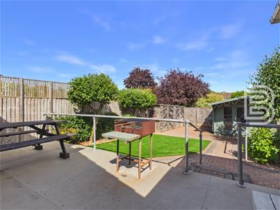 Picture 21